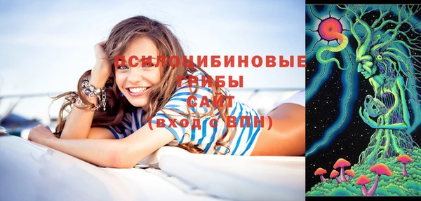 амф Тихвин