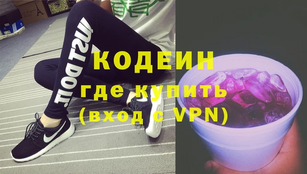 крисы Кемь