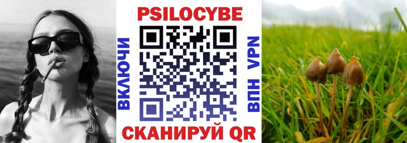 где найти   Томилино  Псилоцибиновые грибы Magic Shrooms 